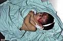 Israel,Terrorist,state,Attacks,to,Palestine (15)